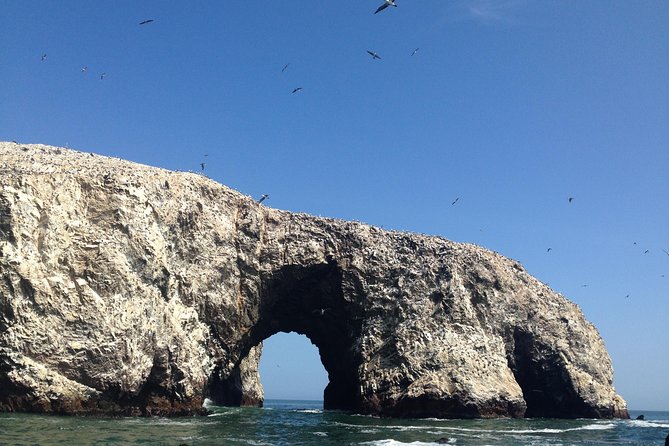 From Lima: Ballestas, Nazca Lines & Huacachina Oasis - Is $550 a fair price?
