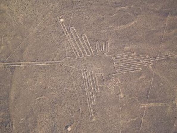 From Lima: Ballestas, Nazca Lines & Huacachina Oasis - Ballestas Islands: wildlife from a shared speedboat