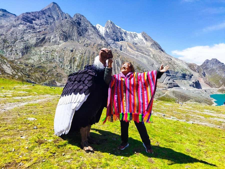 From Lima: Cordillera de la viuda | Mountain Exploration - Reading the stones at Checta Petroglyphs