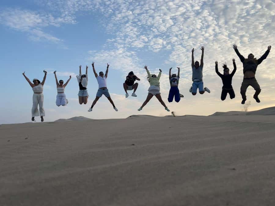 From Lima: Day trip to Paracas, Ica and Oasis Huacachina - Key points to know before booking
