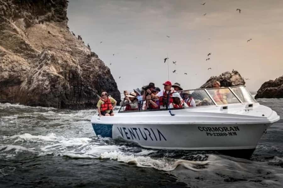 From Lima: Day trip to Paracas, Ica and Oasis Huacachina - Guides, languages, and organization