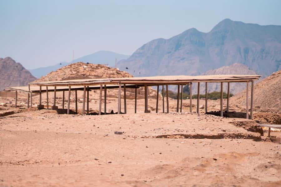 From Lima: Discover the Ancient Sites Caral & Bandurria - Who will enjoy this outing most