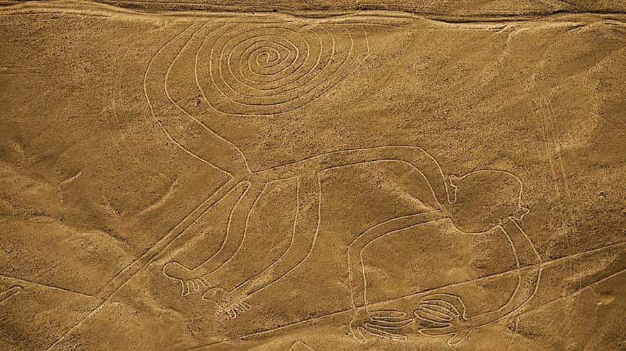 From Lima: Full day flight over in the Nazca Lines - Booking details worth checking first