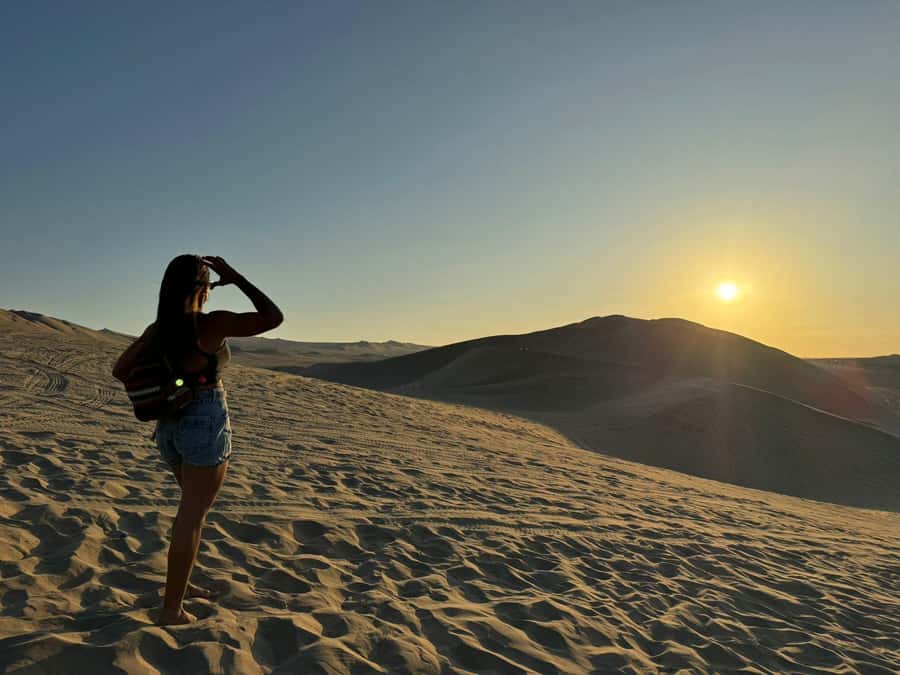 From Lima: Full Day Private All Inclusive Paracas, Ica. - Why this Lima day trip works