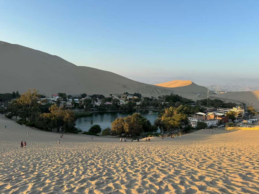 From Lima: Full Day Private All Inclusive Paracas, Ica. - Huacachina and the Ica desert by buggy