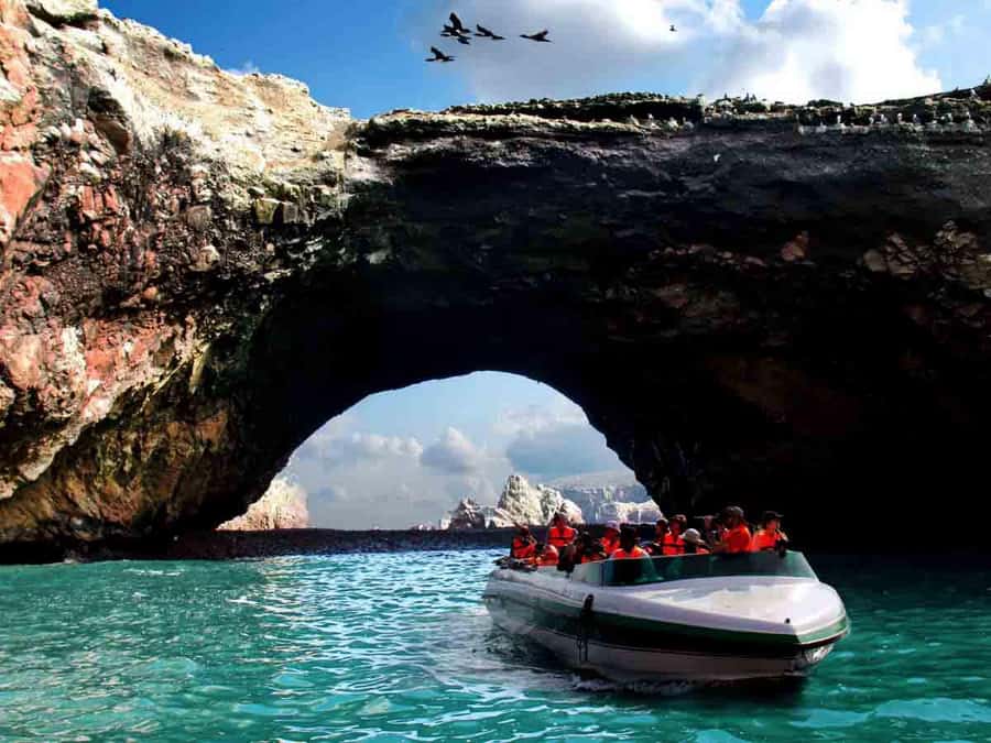 From Lima: Full Day to Paracas and Huacachina Desert Oasis - Lunch and pisco at Nieto