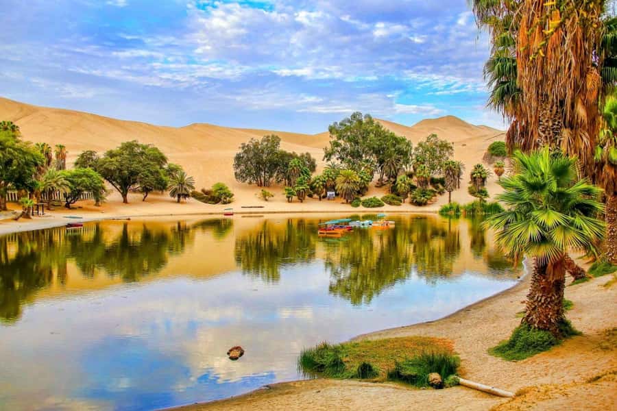 From Lima: Huacachina Oasis & Ballestas Island - ENGL / ESPA - Key points to know before booking