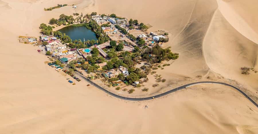From Lima: Huacachina Oasis & Ballestas Island - ENGL / ESPA - Meeting sea lions at Islas Ballestas