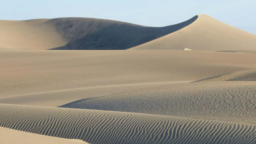 From Lima: Huacachina Oasis & Ballestas Island - ENGL / ESPA - Buggy rides and sandboarding on the dunes