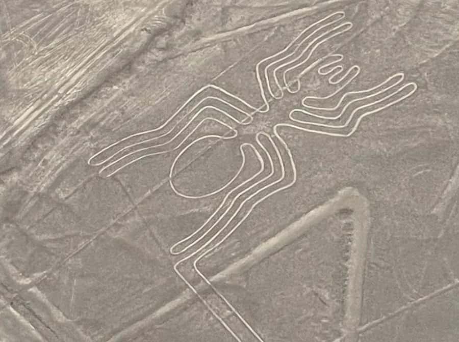 From Lima: Nazca Lines Flight with Huacachina Oasis Tour - A private group with English or Spanish guiding