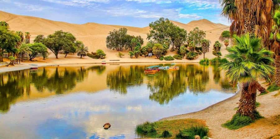 From Lima: Paracas and Huacachina Guided Desert Oasis Trip - The final Racimo de Uva shopping stop