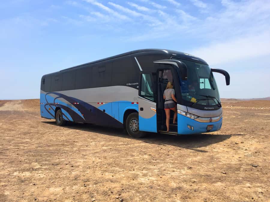 From Lima: Paracas and Huacachina Oasis Full Day Guided Tour - What the $59 price really buys you