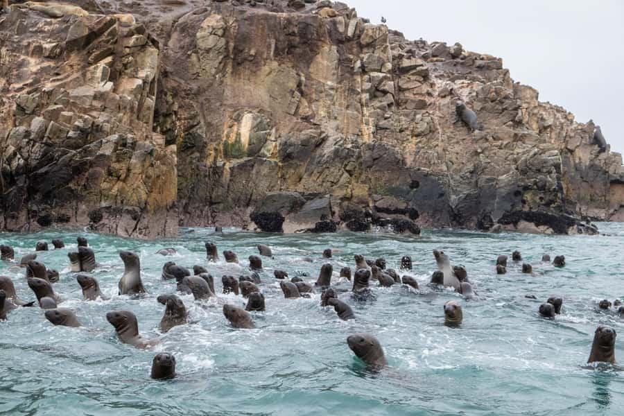 From Lima: Paracas and Huacachina Oasis Full Day Tour - Key points to know before booking