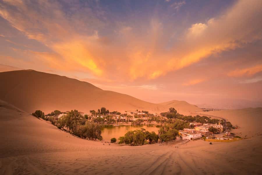 From Lima: Paracas and Huacachina Oasis Full Day Tour - Ballestas Islands: wildlife from the boat