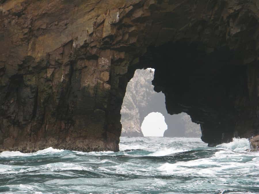 From Lima: Paracas and Huacachina Oasis Full Day Tour - Final call: book it if your day is free