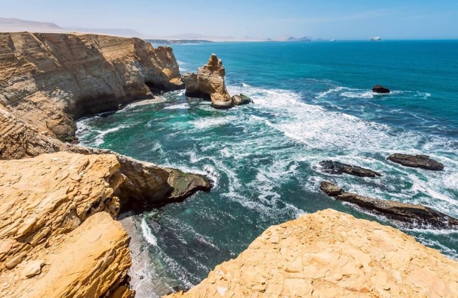 From Lima:Paracas Ballestas Islands and Ica Oasis 1 day Tour - Lunch and local flavors in Ica