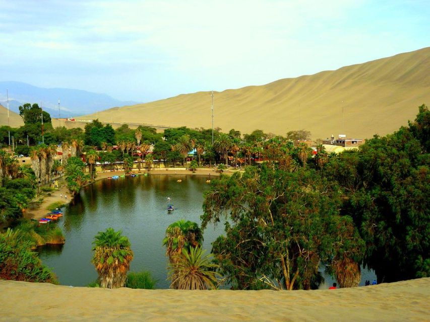 From Lima:Paracas Ballestas Islands and Ica Oasis 1 day Tour - The pisco and wine tasting stop