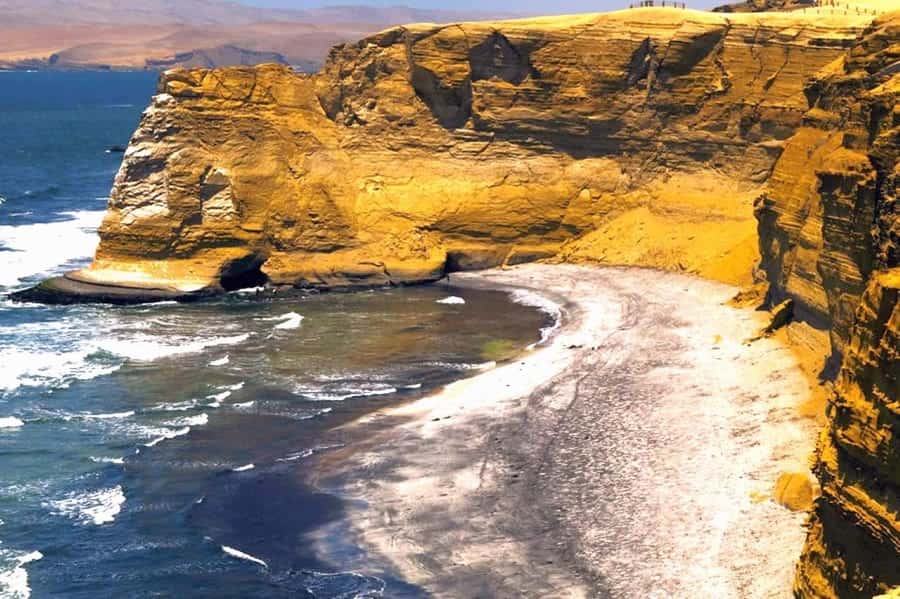 From Lima:Paracas Ballestas Islands and Ica Oasis 1 day Tour - The final stop in Chincha