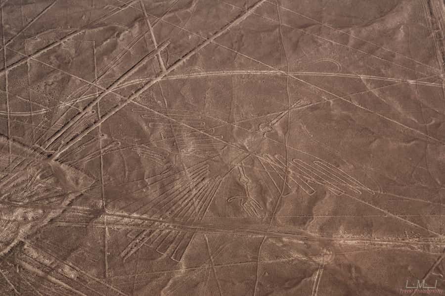 From Nazca: 35-Minute Flight Over Nazca Lines - The pickup from Nazca hotels and bus stations