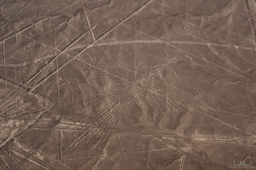 From Nazca: 35-Minute Flight Over Nazca Lines - Is $125 a fair price?