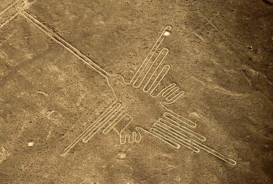 From Nazca: Flight in a light aircraft over the Nazca Lines - Key points to know before booking