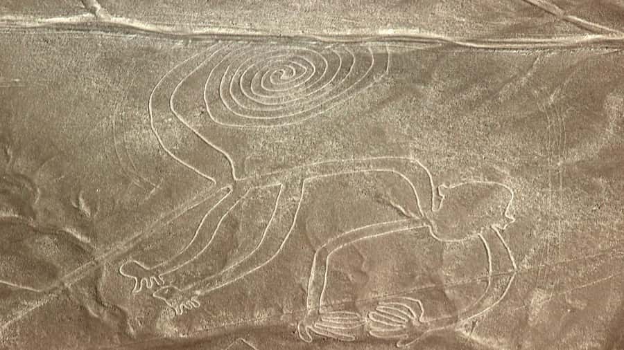 From Nazca: Flight in a light aircraft over the Nazca Lines - Seeing the Nazca Lines from the only useful angle