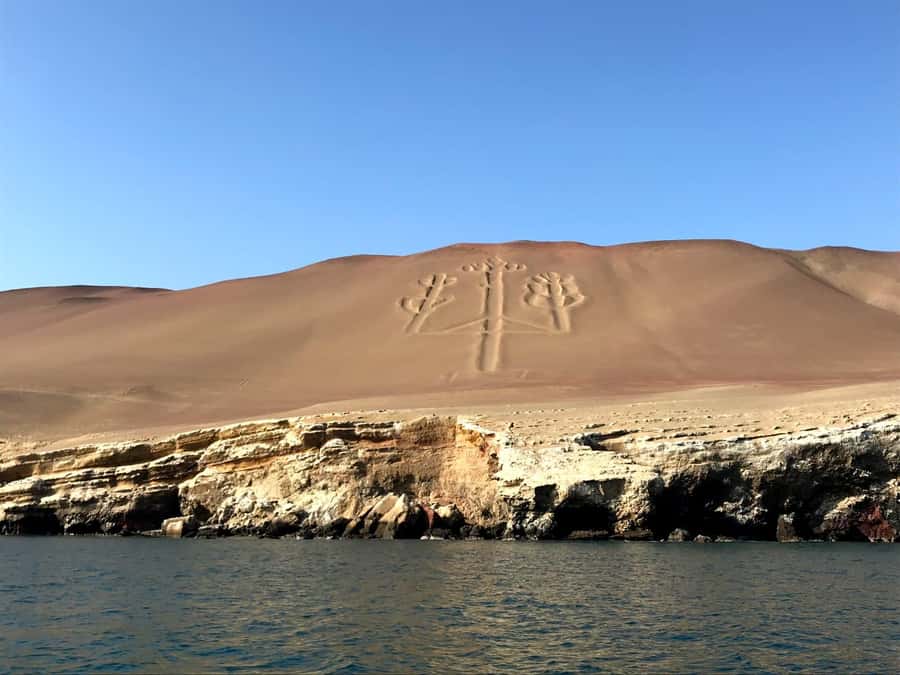 From Paracas: Ballestas Island Cruise & Paracas Reserve Tour - Why this half-day combination works