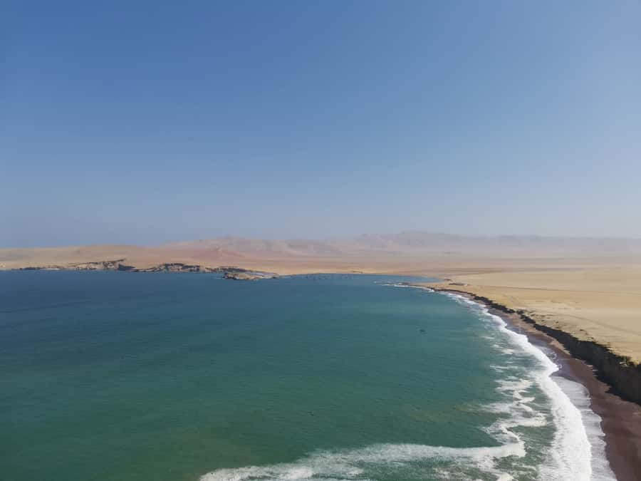 From Paracas: Ballestas Island Cruise & Paracas Reserve Tour - What the $55 price really covers
