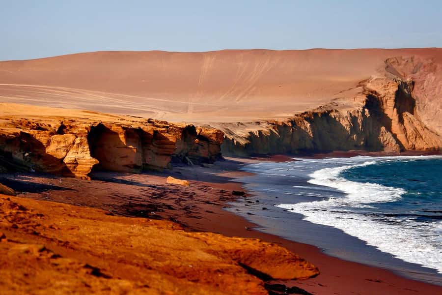 From Paracas: Ballestas Islands & Paracas National Reserve - Key things to know before booking