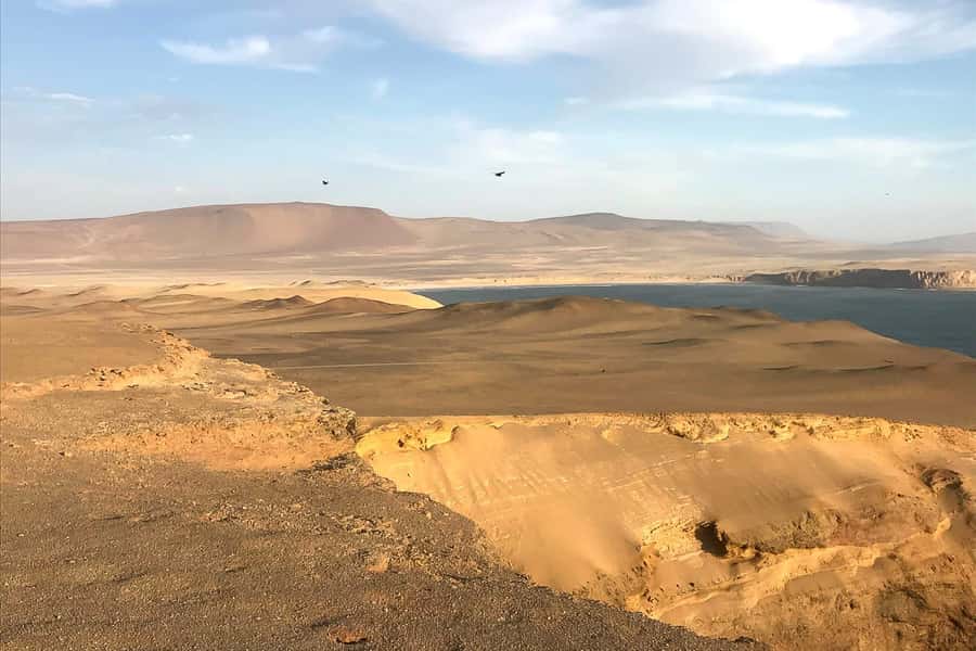 From Paracas: Ballestas Islands & Paracas National Reserve - Price, inclusions, and overall value