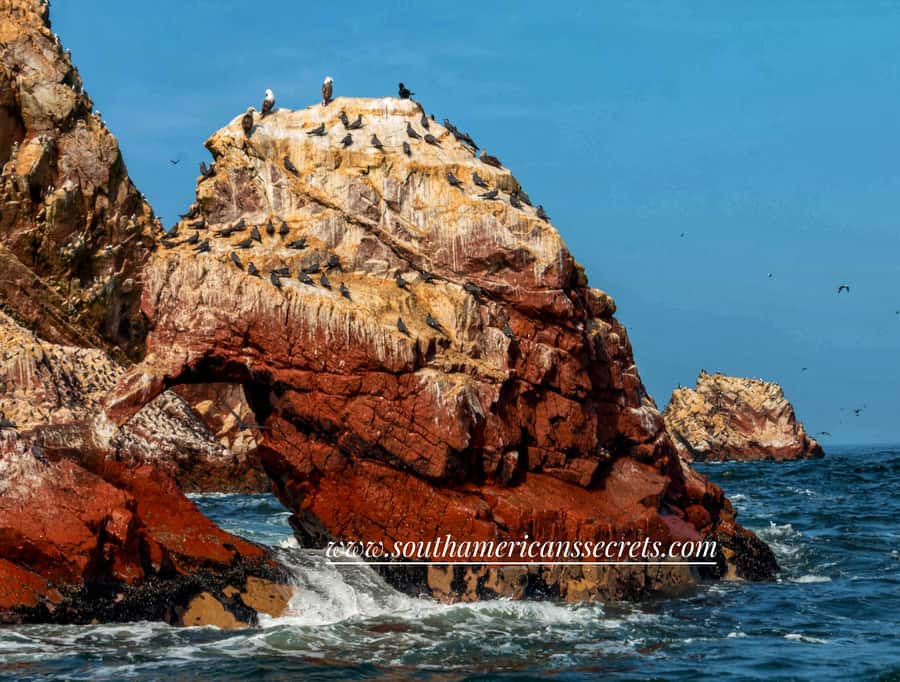 From Paracas: Ballestas Islands tour all Inclusive - Key points at a glance