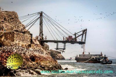 Ballestas Islands tour all Inclusive