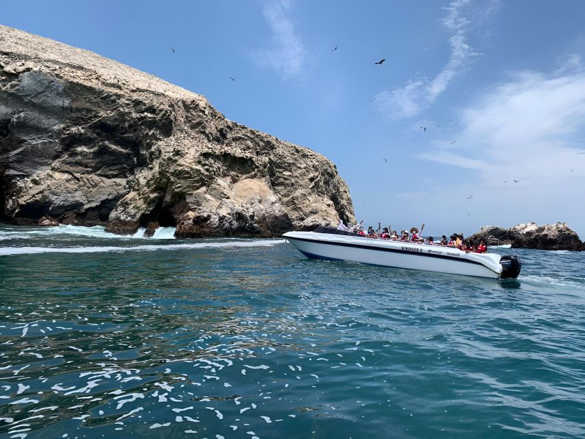 From Paracas: Ballestas Islands tour all Inclusive - What the $17 price includes