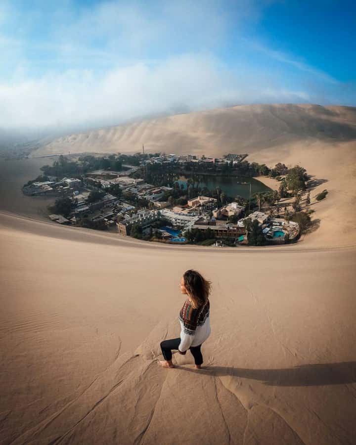 From Paracas | Excursion to Ica and Huacachina - Tasting wine and pisco at a local winery