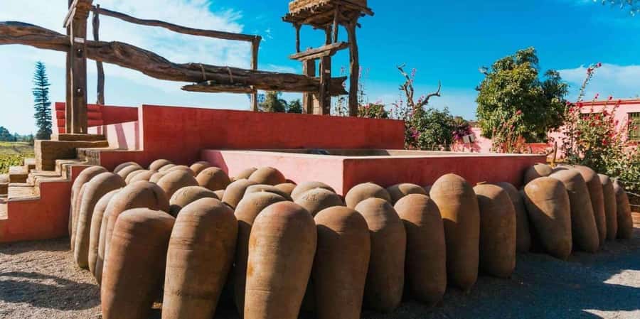 From Paracas | Excursion to Ica and Huacachina - Seeing central Ica beyond the vineyards