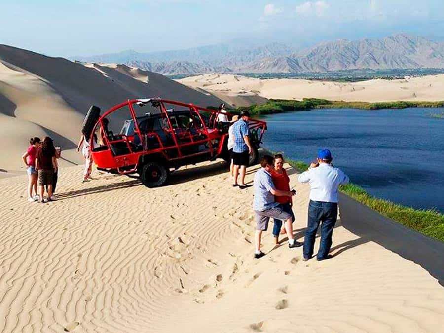 From Paracas: Mini Buggy Tour & Sandboarding at Oasis - Key points to know before you book