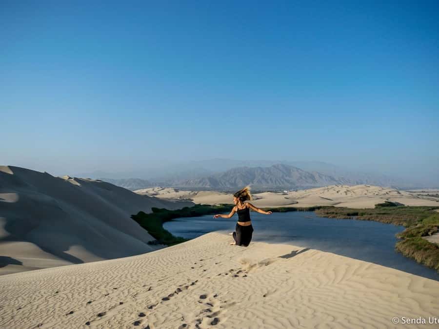 From Paracas: Mini Buggy Tour & Sandboarding at Oasis - Should you book the Costa Rica Oasis buggy tour?