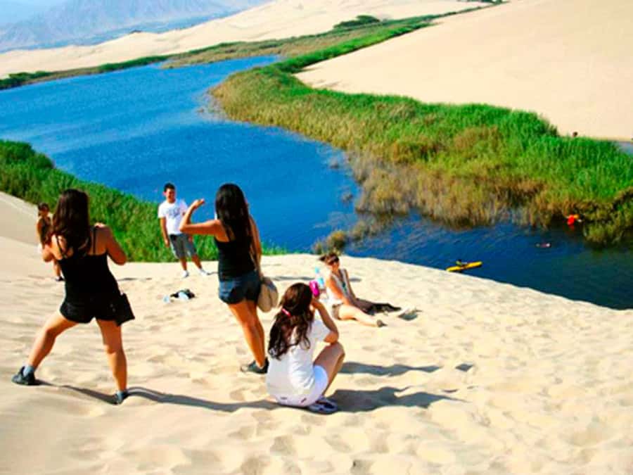 From Paracas: Mini Buggy Tour & Sandboarding at Oasis - Racing across the California desert dunes