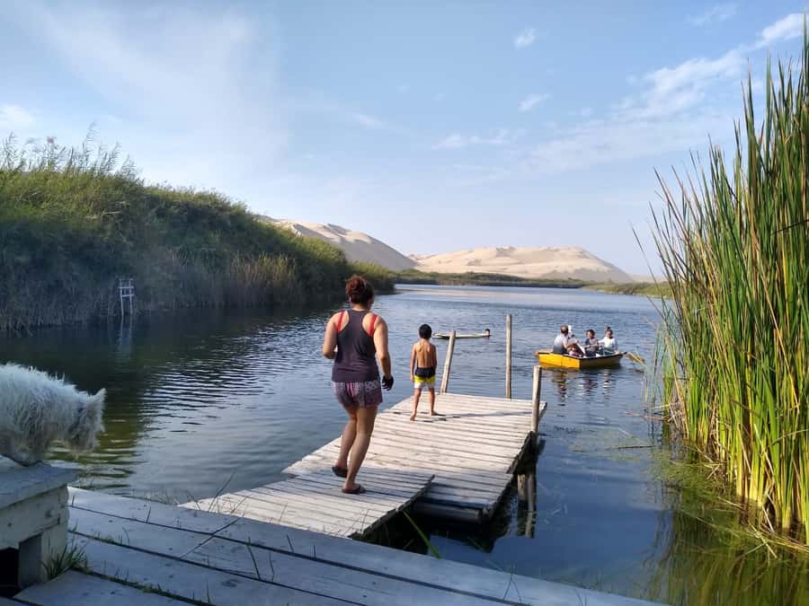 From Paracas: Mini Buggy Tour & Sandboarding at Oasis - How the three hours are likely to feel
