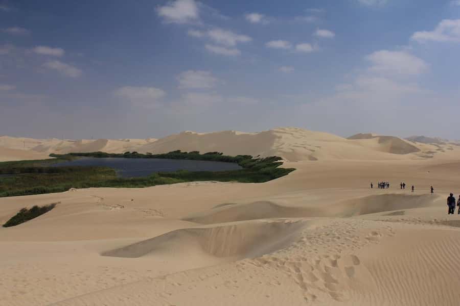 From Paracas: Mini Buggy Tour & Sandboarding at Oasis - Who should book this Paracas excursion?