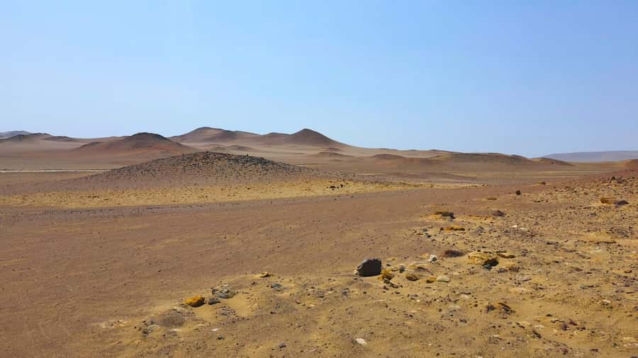 From Paracas: Paracas National Reserve Private Tour - Key points to know before booking