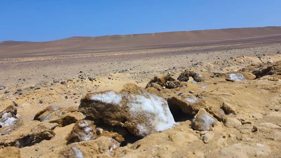 From Paracas: Paracas National Reserve Private Tour - Why Paracas National Reserve is worth your morning