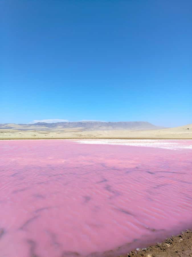From Paracas: Paracas National Reserve Private Tour - Visitor center: a useful introduction to the reserve