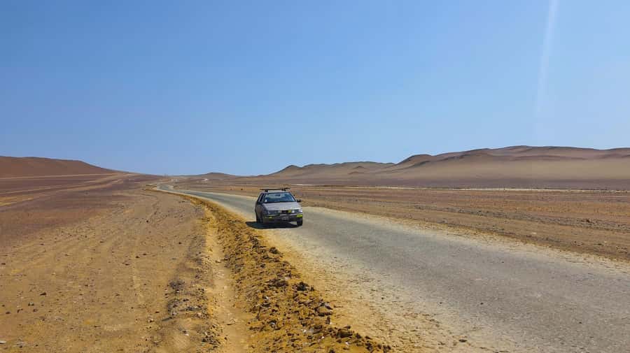 From Paracas: Paracas National Reserve Private Tour - Sea lions and birds along the rocky coast