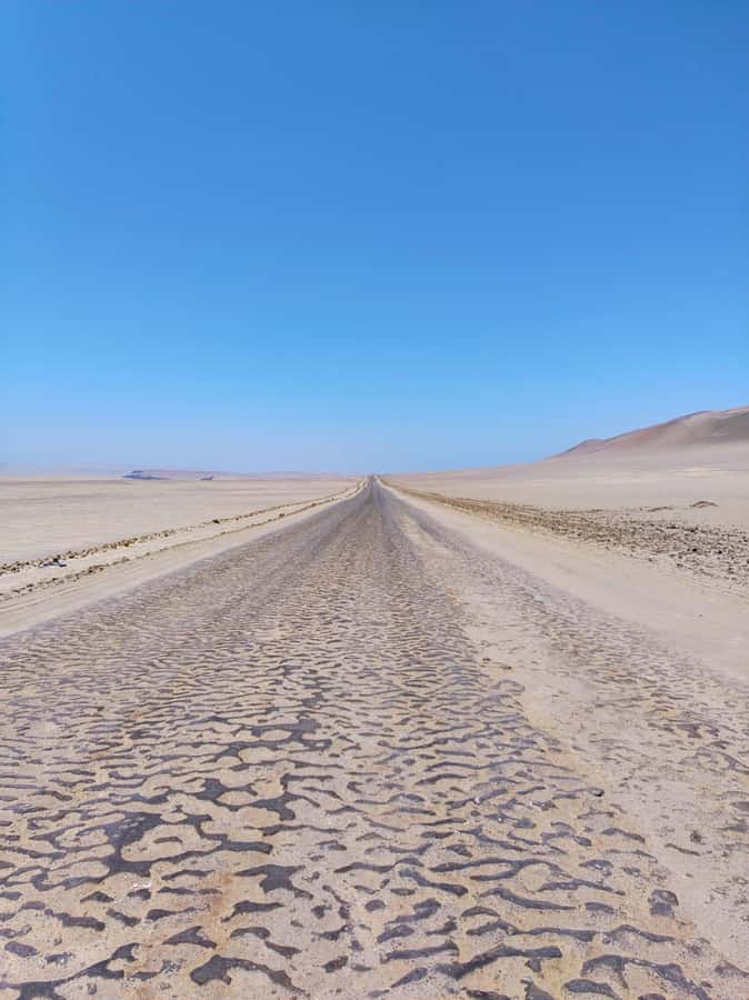 From Paracas: Paracas National Reserve Private Tour - Lagunillas Beach and the final coastal views