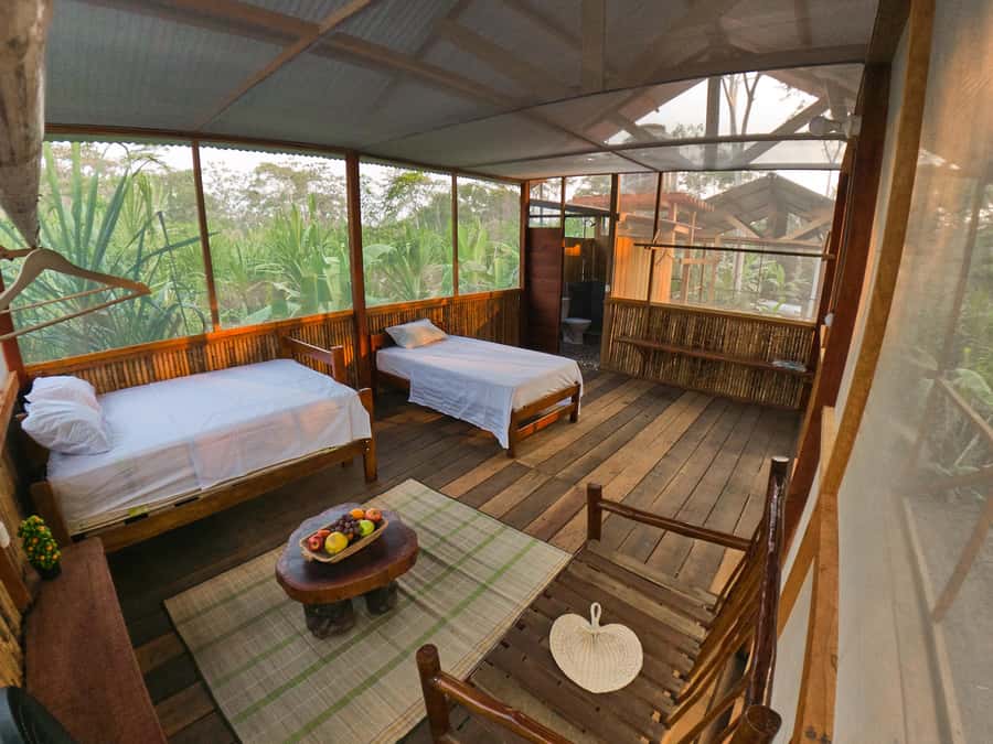 From Puerto Maldonado: 4-Day Excursion /wildlifesearch - A jungle house, not a resort