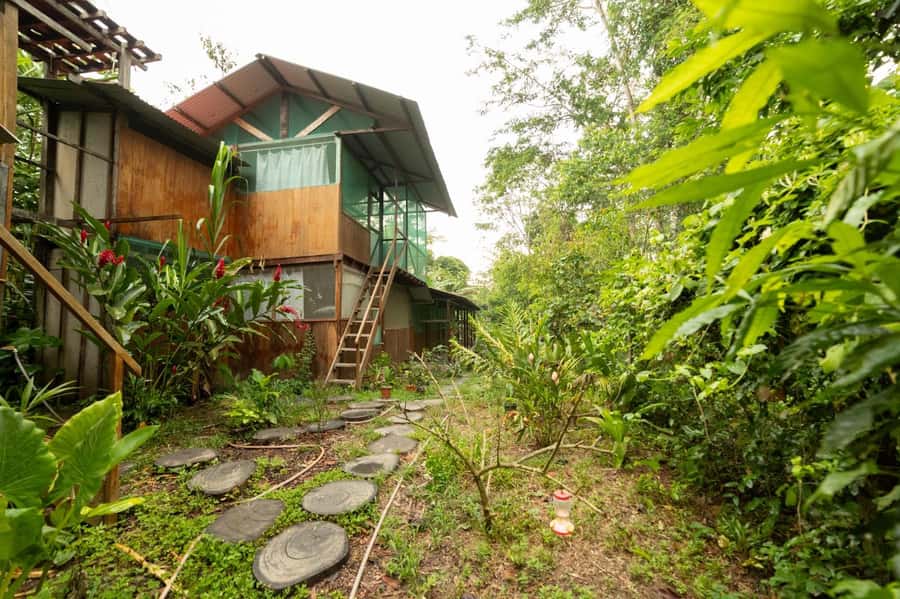 From Puerto Maldonado: 4-Day Excursion /wildlifesearch - Practical packing for heat, rain, and insects