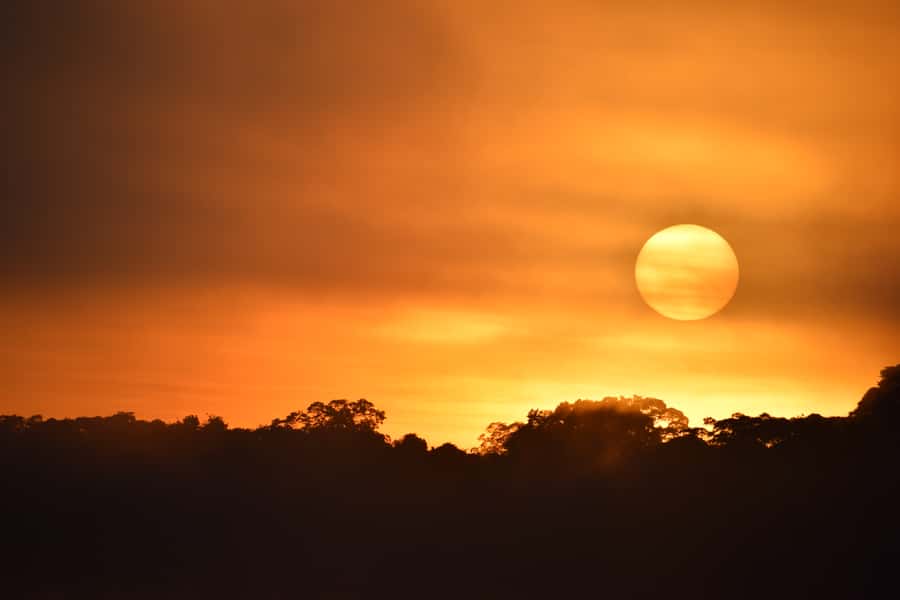 From Puerto Maldonado: 4-Day Excursion /wildlifesearch - Day 1: Sunset over the Tambopata River, then a night walk