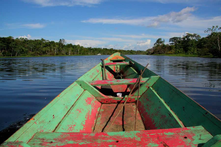 From Puerto Maldonado - Tambopata 4D/3N - What the $600 price really includes