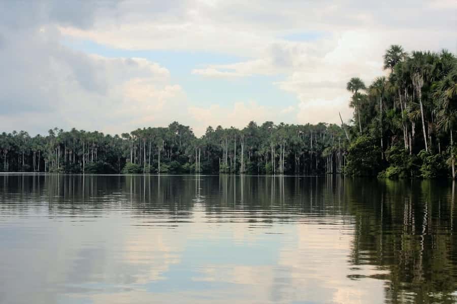 From Puerto Maldonado - Tambopata 4D/3N - Day 1: River travel and your first rainforest walk